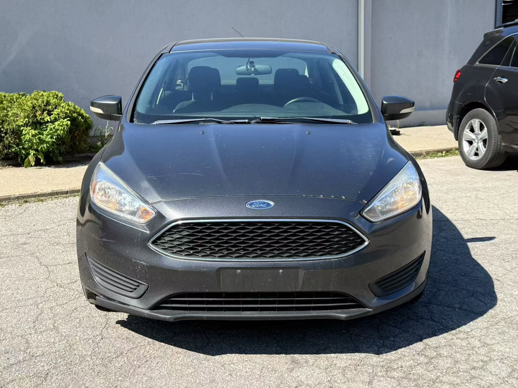 2016 Ford Focus 4dr Sdn SE, Toronto, Cash