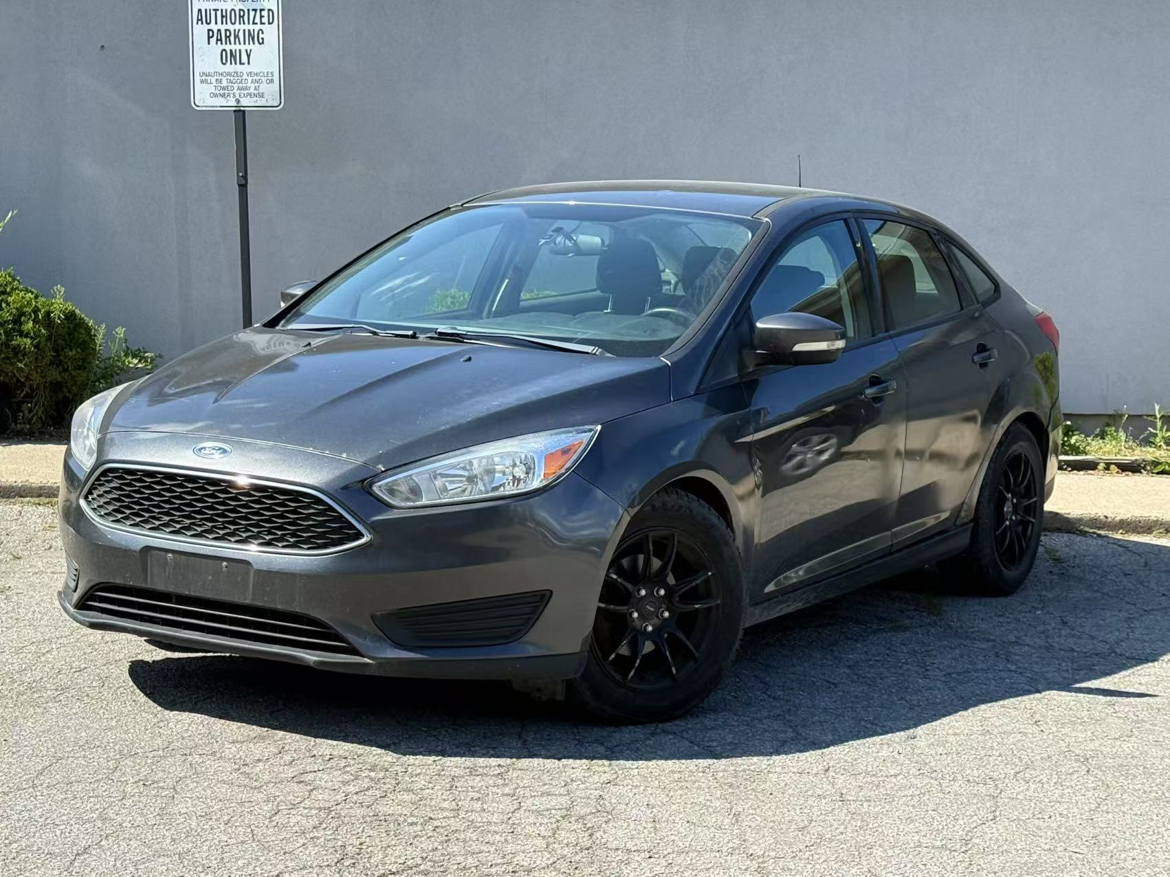 2016 Ford Focus 4dr Sdn SE, Toronto, Cash