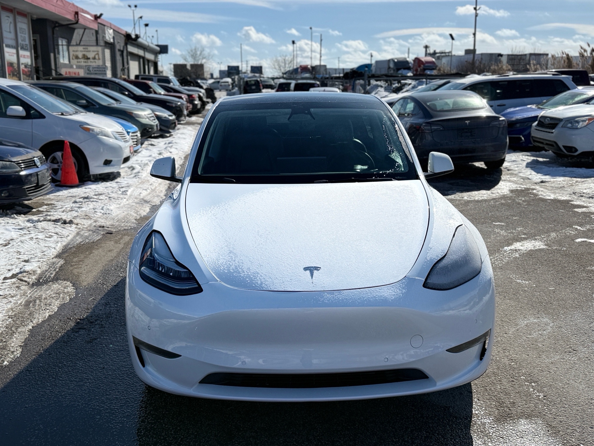2021 Tesla Model Y