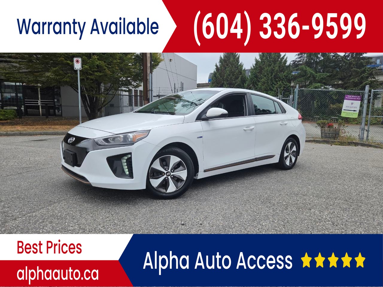2019 Hyundai Ioniq Electric