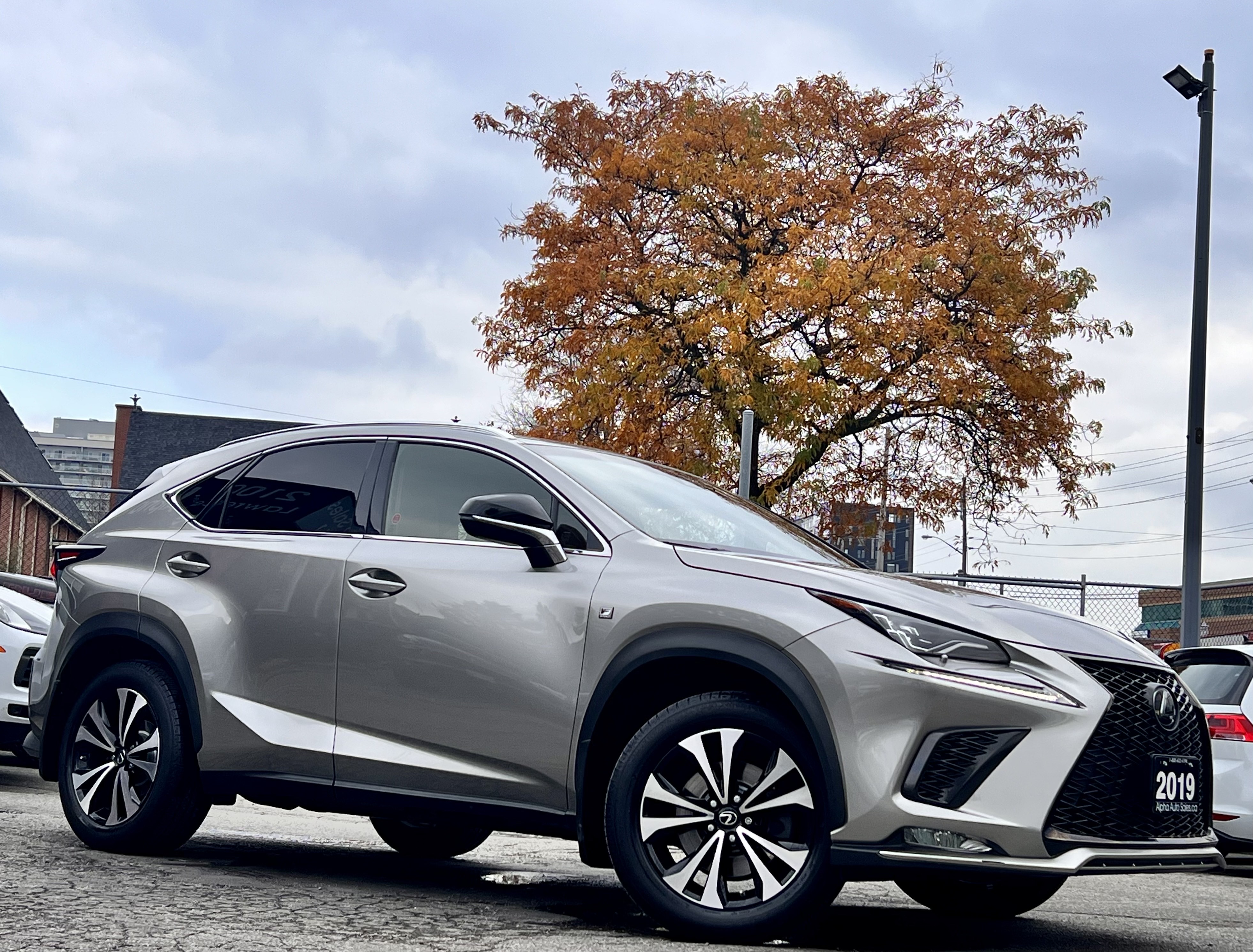 2019 Lexus NX NX 300 F-Sport AWD |RED INTERIOR|, 多伦多, 全款车