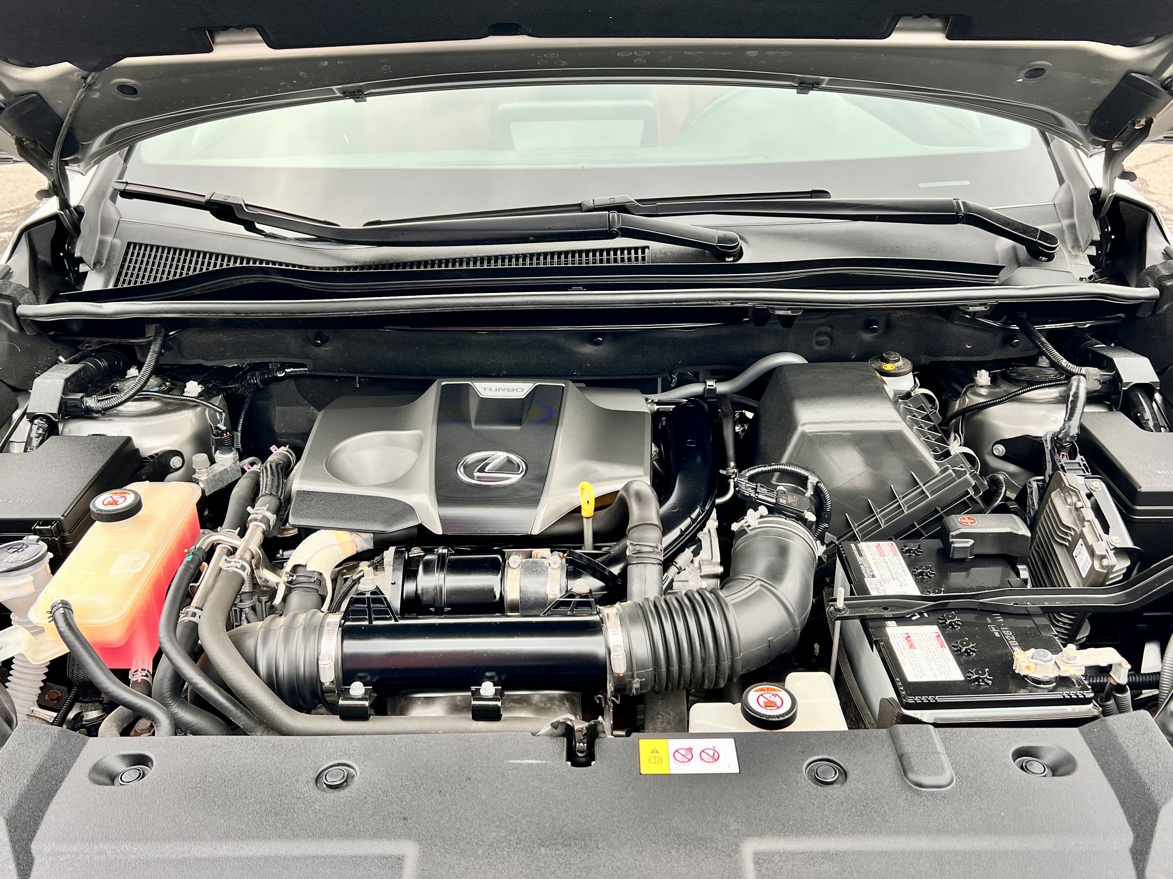 2019 Lexus NX NX 300 F-Sport AWD |RED INTERIOR|, 多伦多, 全款车