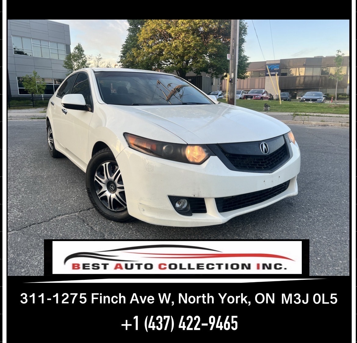 White 2010 Acura TSX Sedan Front-Wheel Drive Automatic