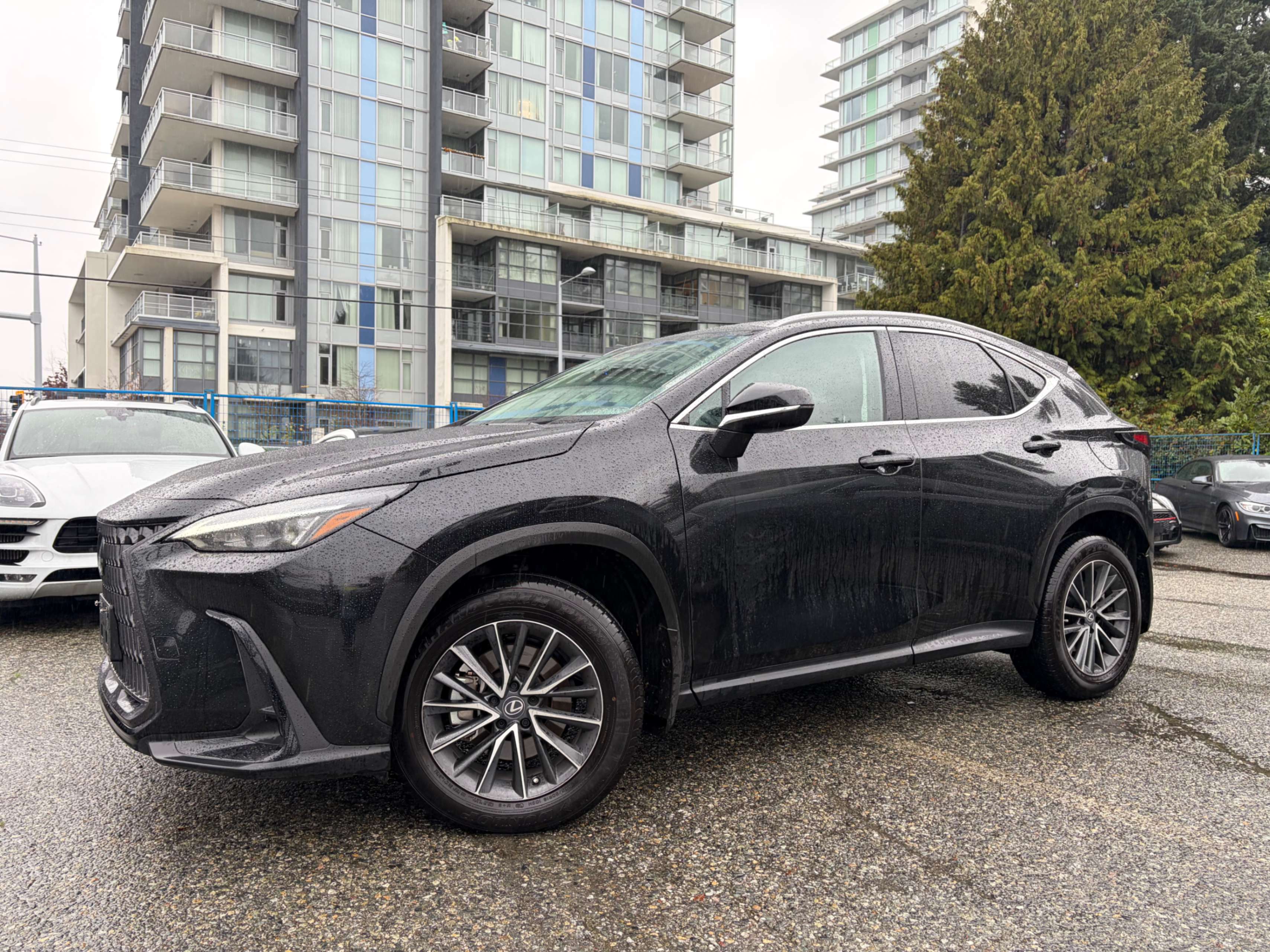Lexus NX 250 AWD