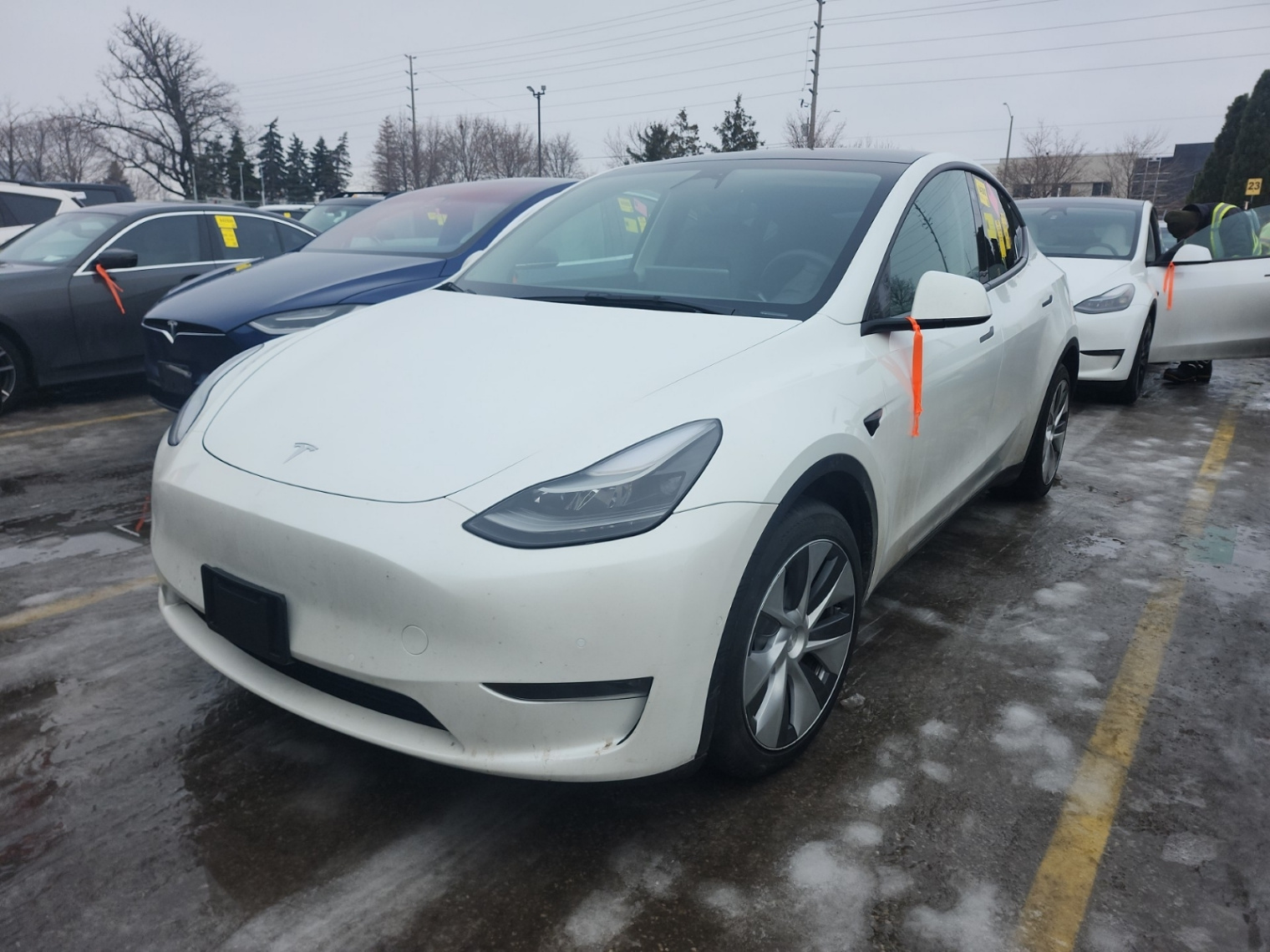 2022 TESLA MODEL Y