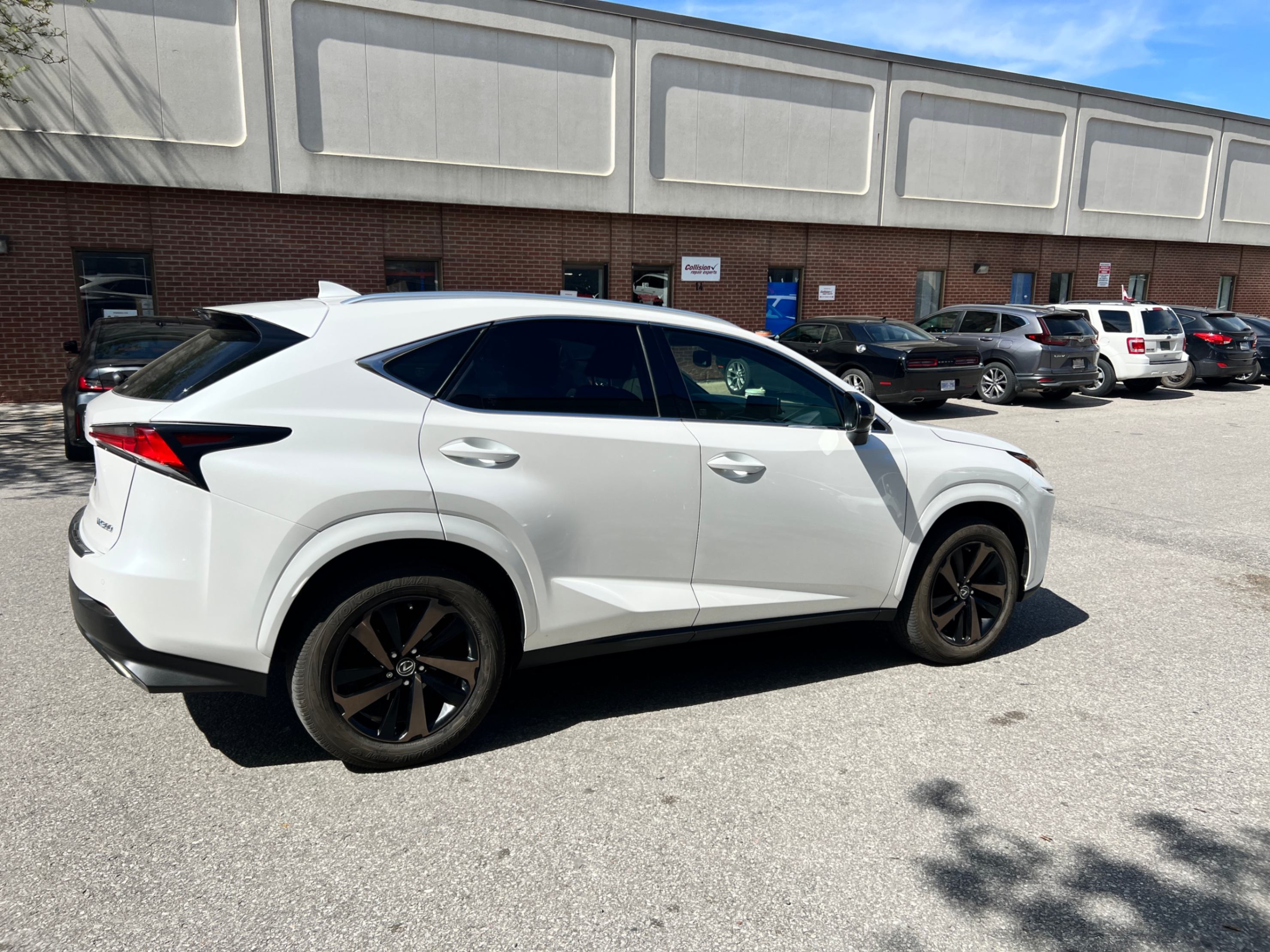 /crownautomobile/2020-Lexus-NX-3058796181021908.jpg
