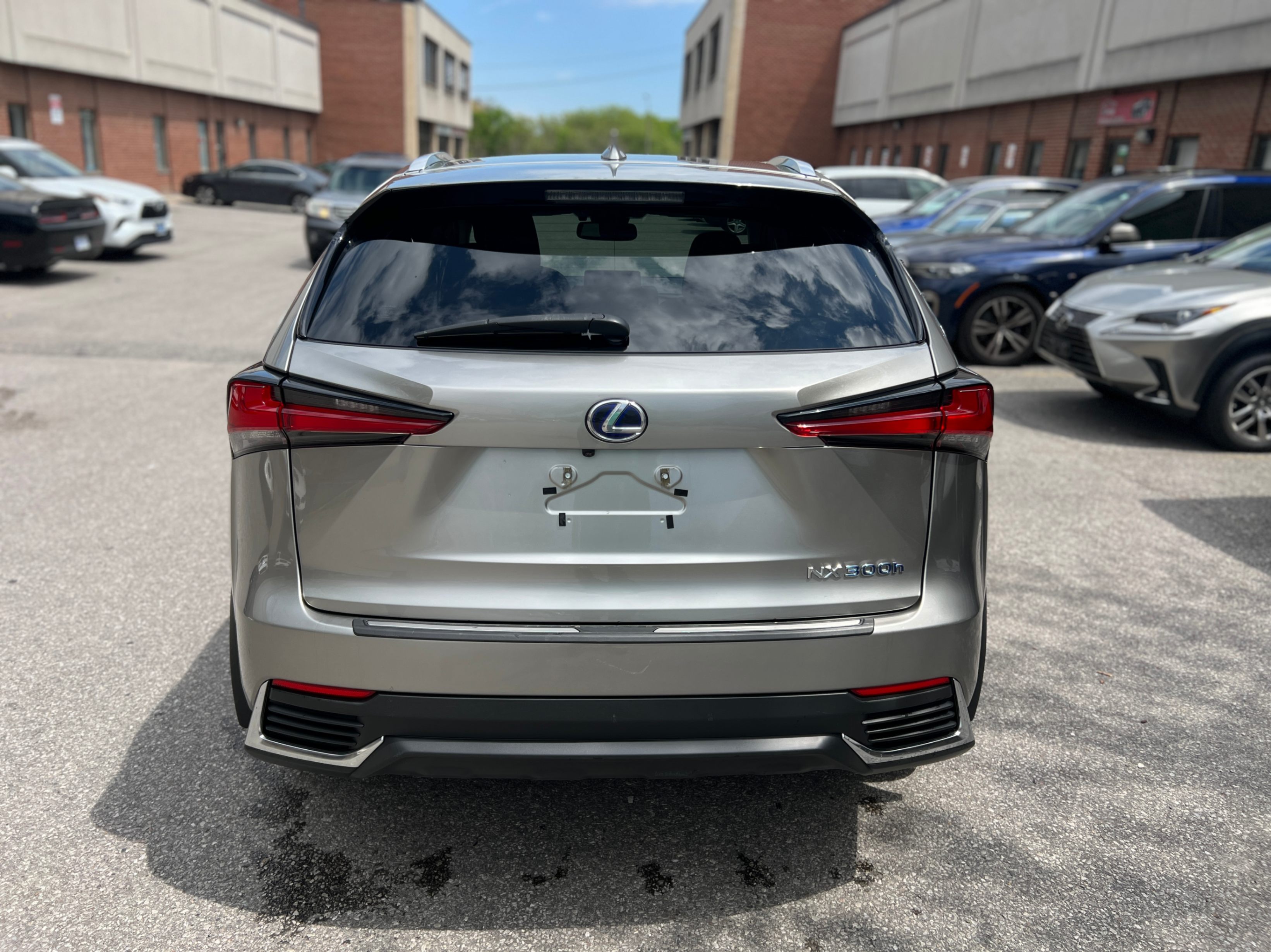 /crownautomobile/2021-Lexus-NX-7612327888266974.jpg
