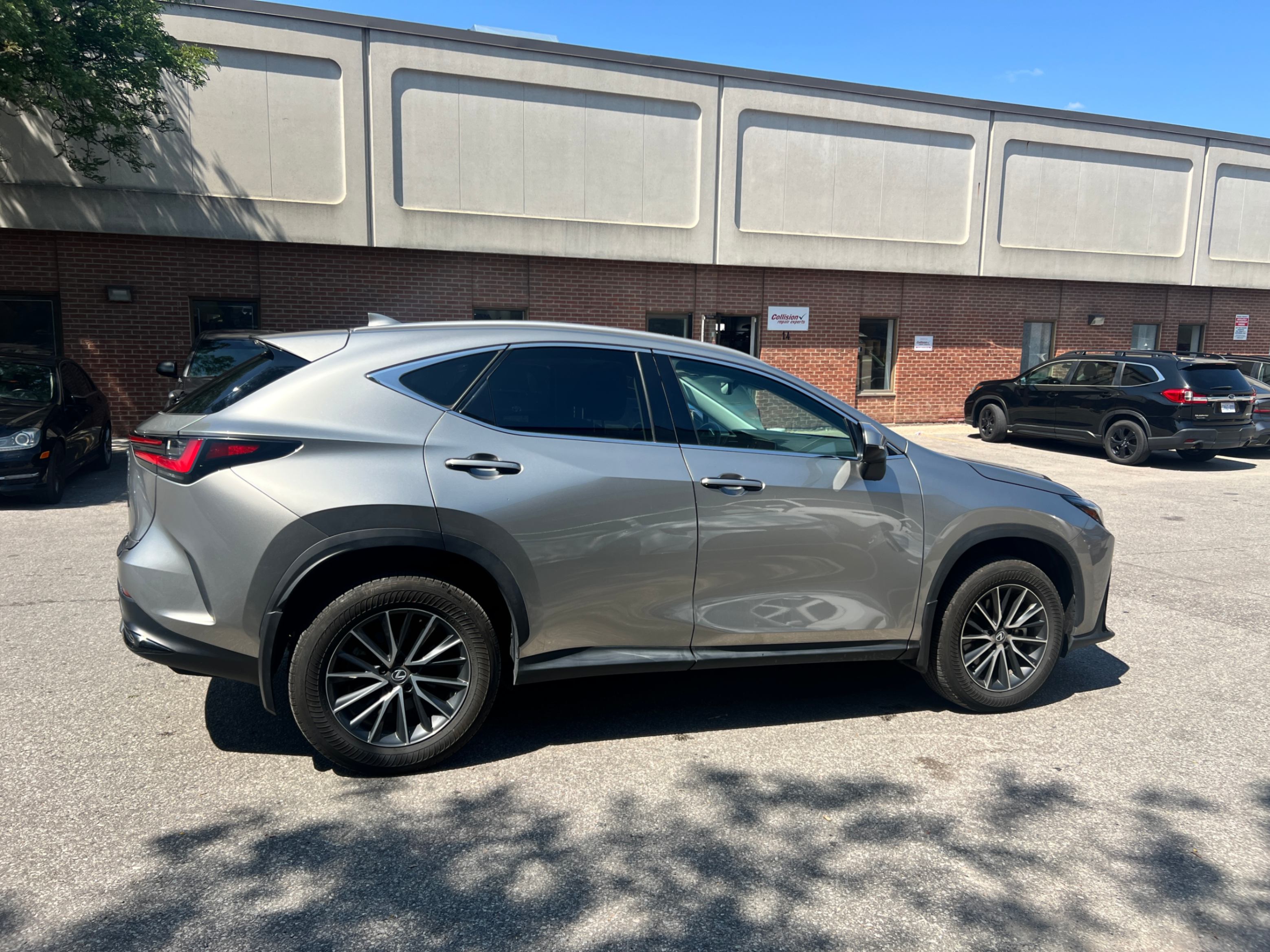 /crownautomobile/2024-Lexus-NX-8263862422560446.jpg