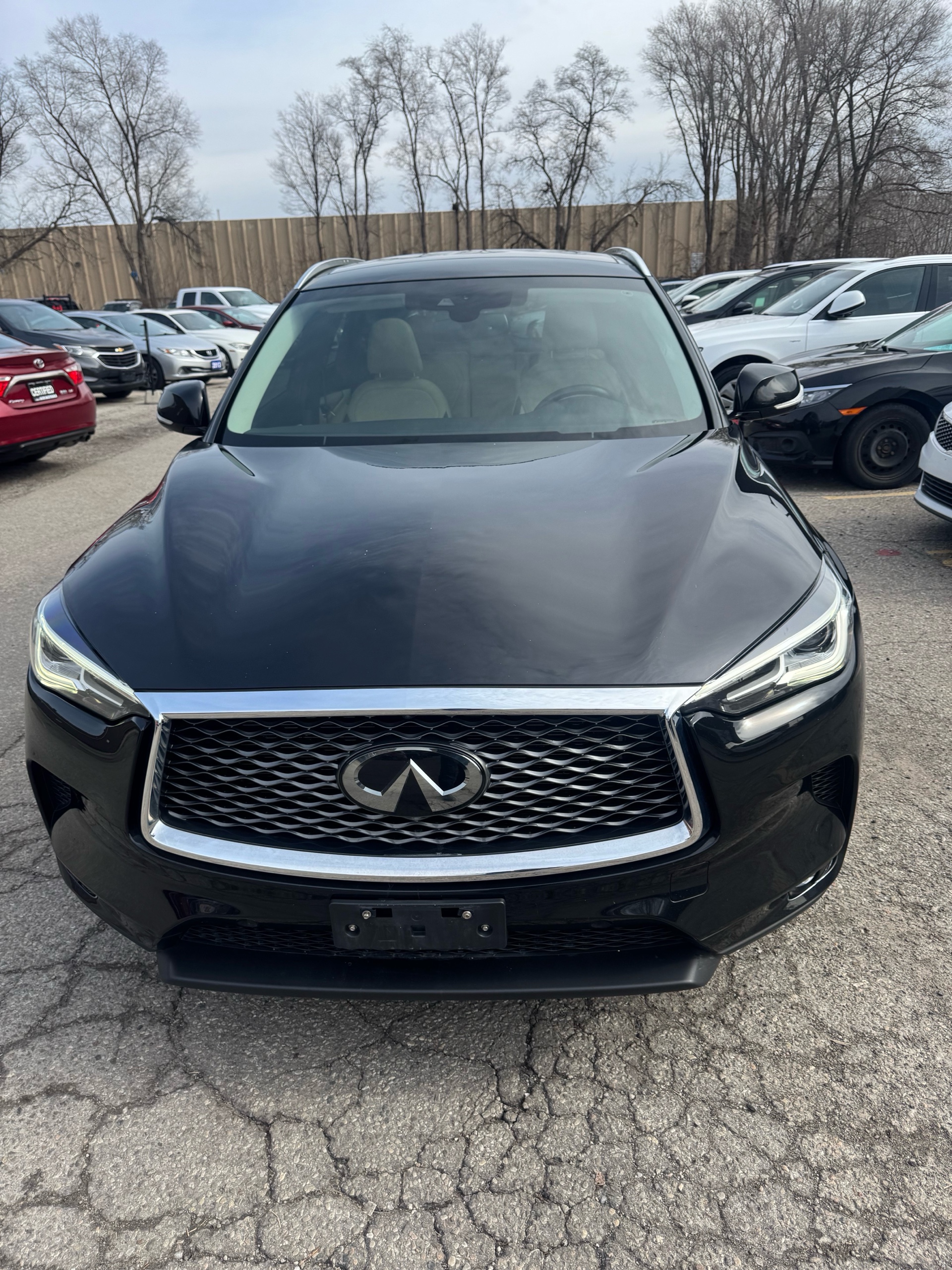 Gray 2019 INFINITI QX50 Luxe AWD SUV / Crossover All-Wheel Drive Automatic
