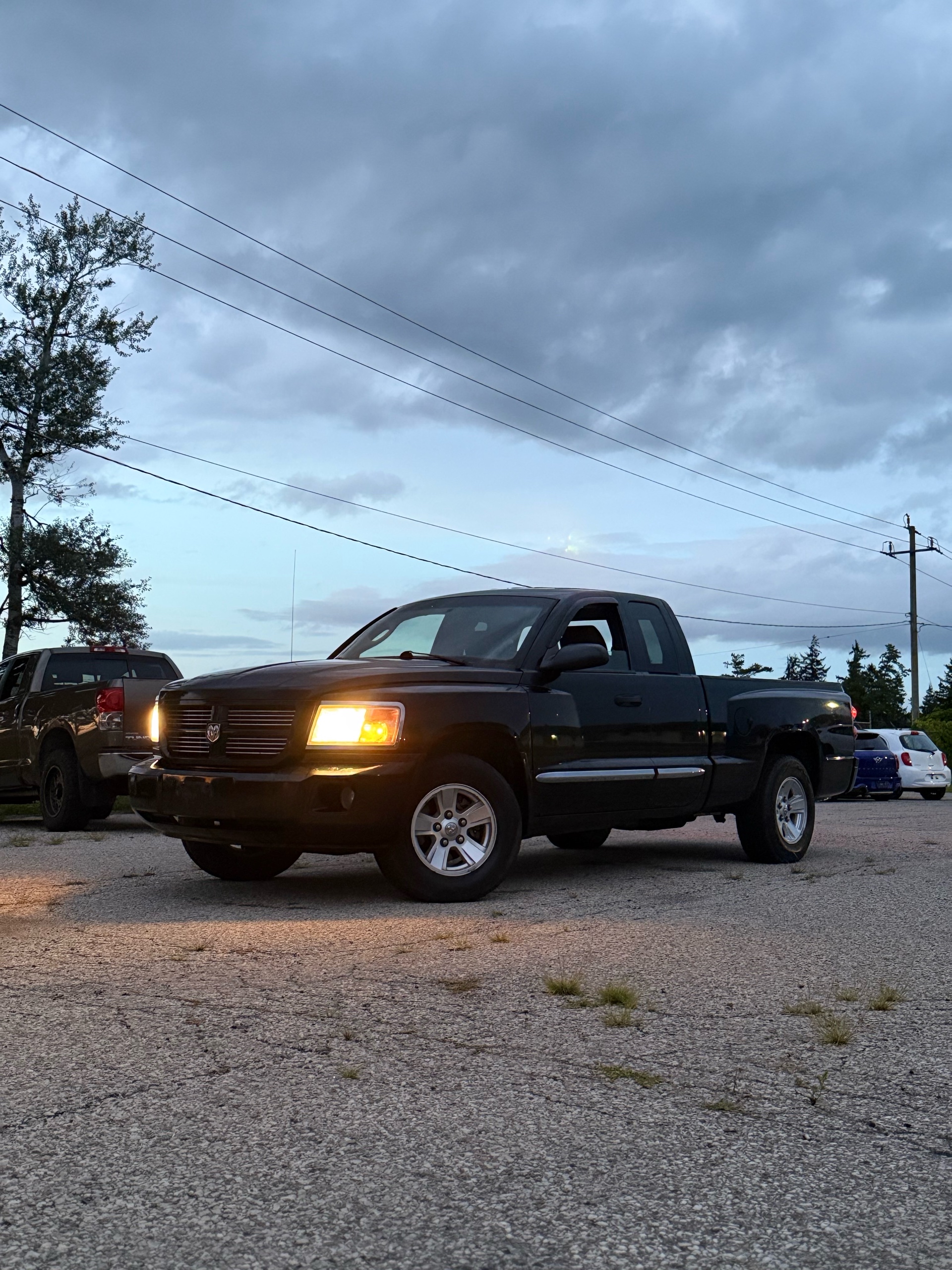 Black 2008 Dodge Dakota Pickup Truck Rear-Wheel Drive Automatic