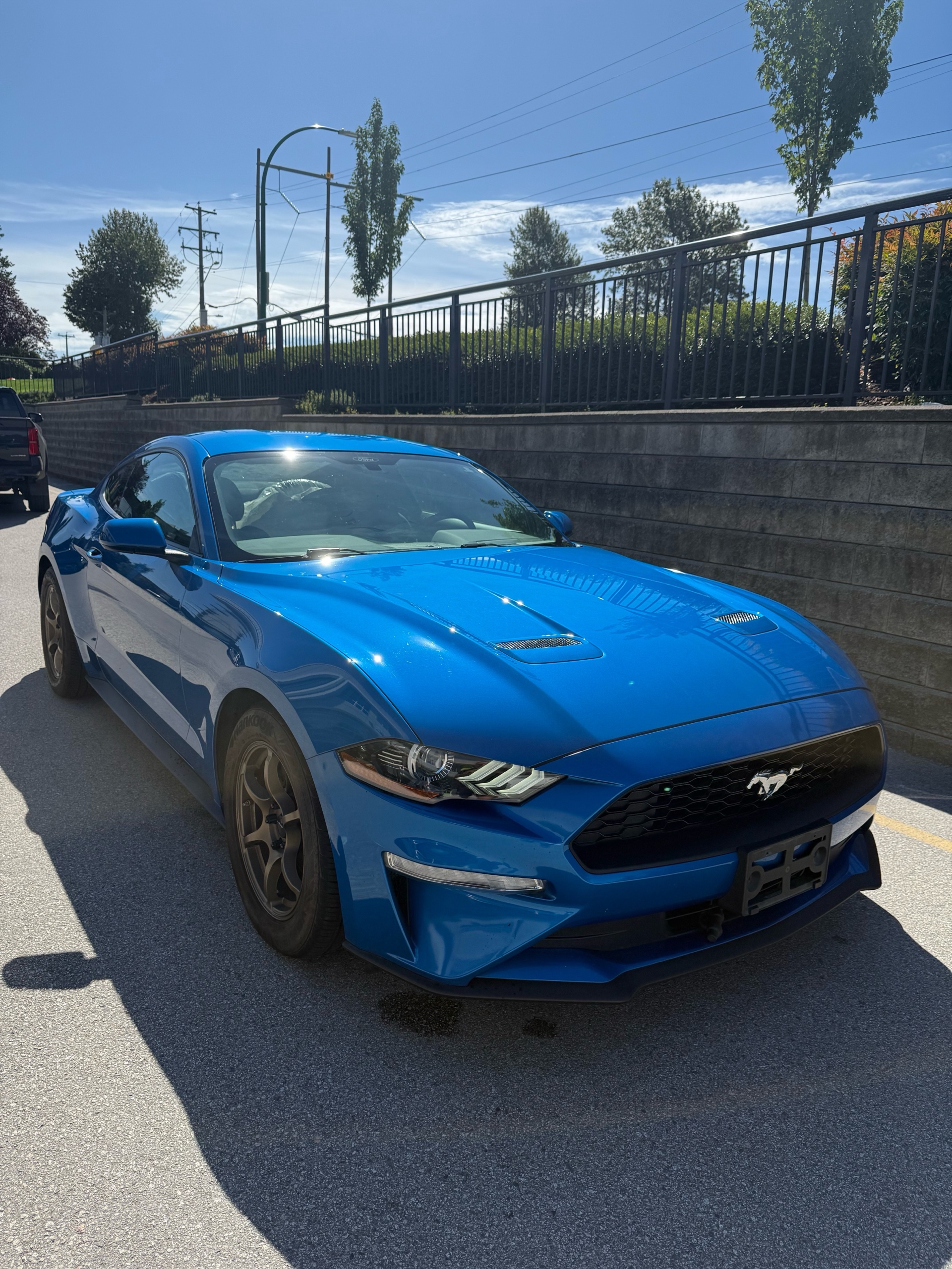 2019 Ford Mustang