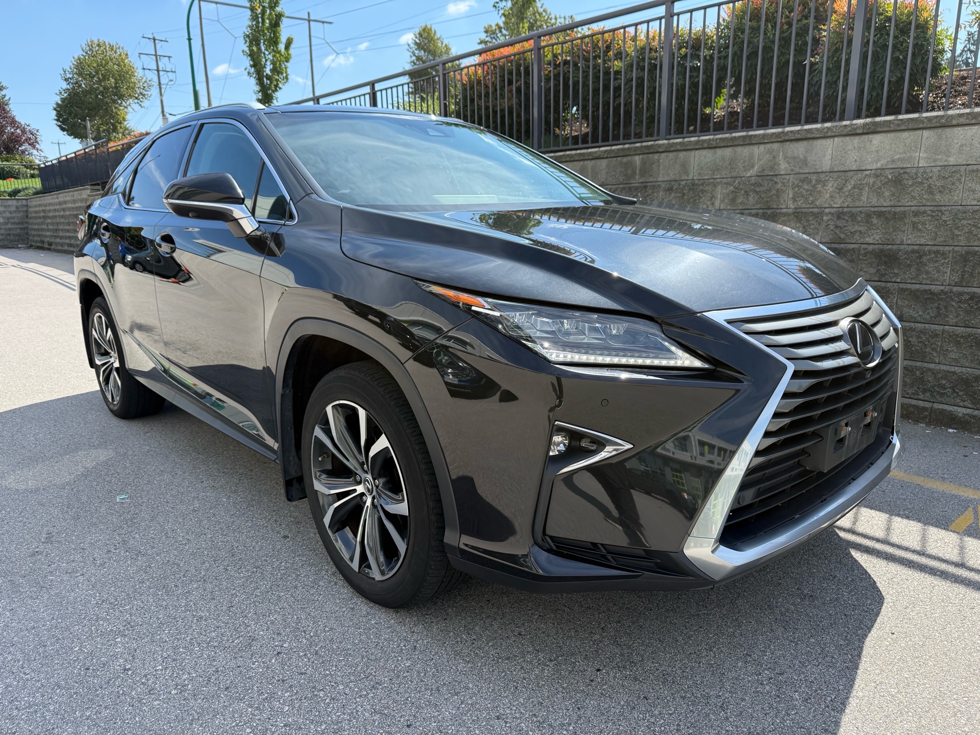 2019 Lexus RX