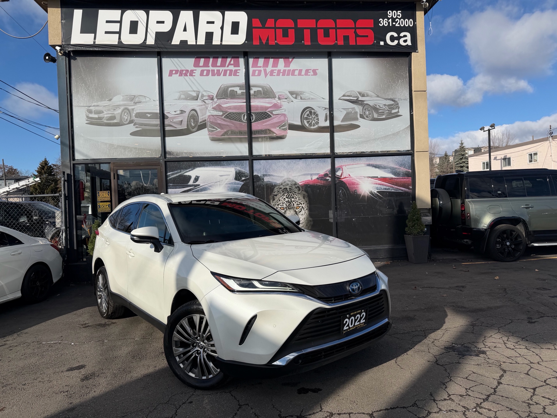 Toyota Venza XLE AWD