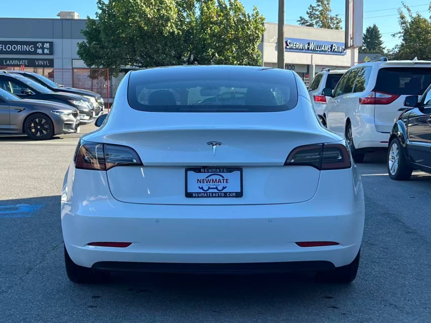 2020 Tesla Model 3 Standard Range Plus RWD, 温哥华, 全款车