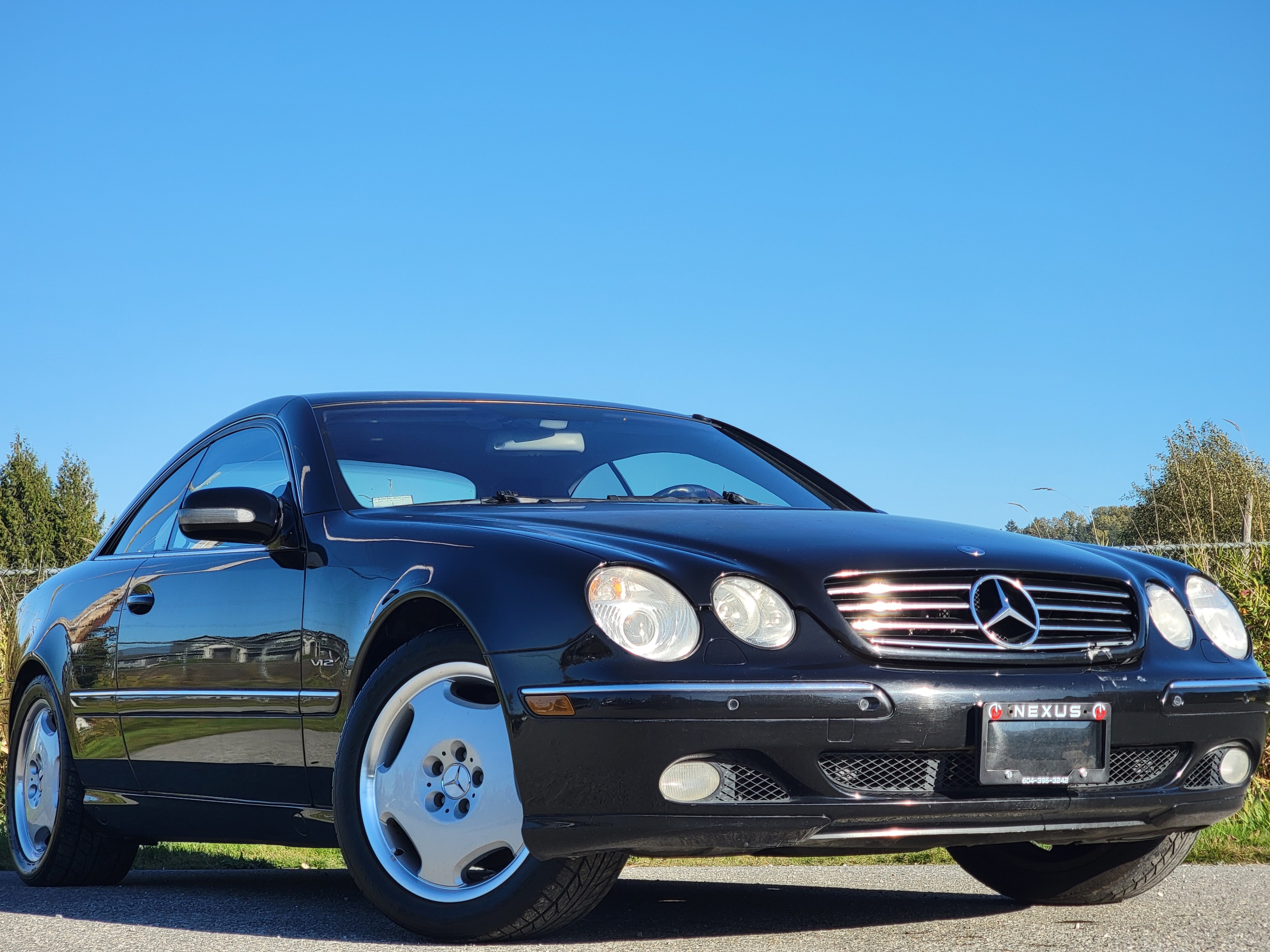 Black 2001 Mercedes-Benz CL-Class Coupe Rear-Wheel Drive Automatic
