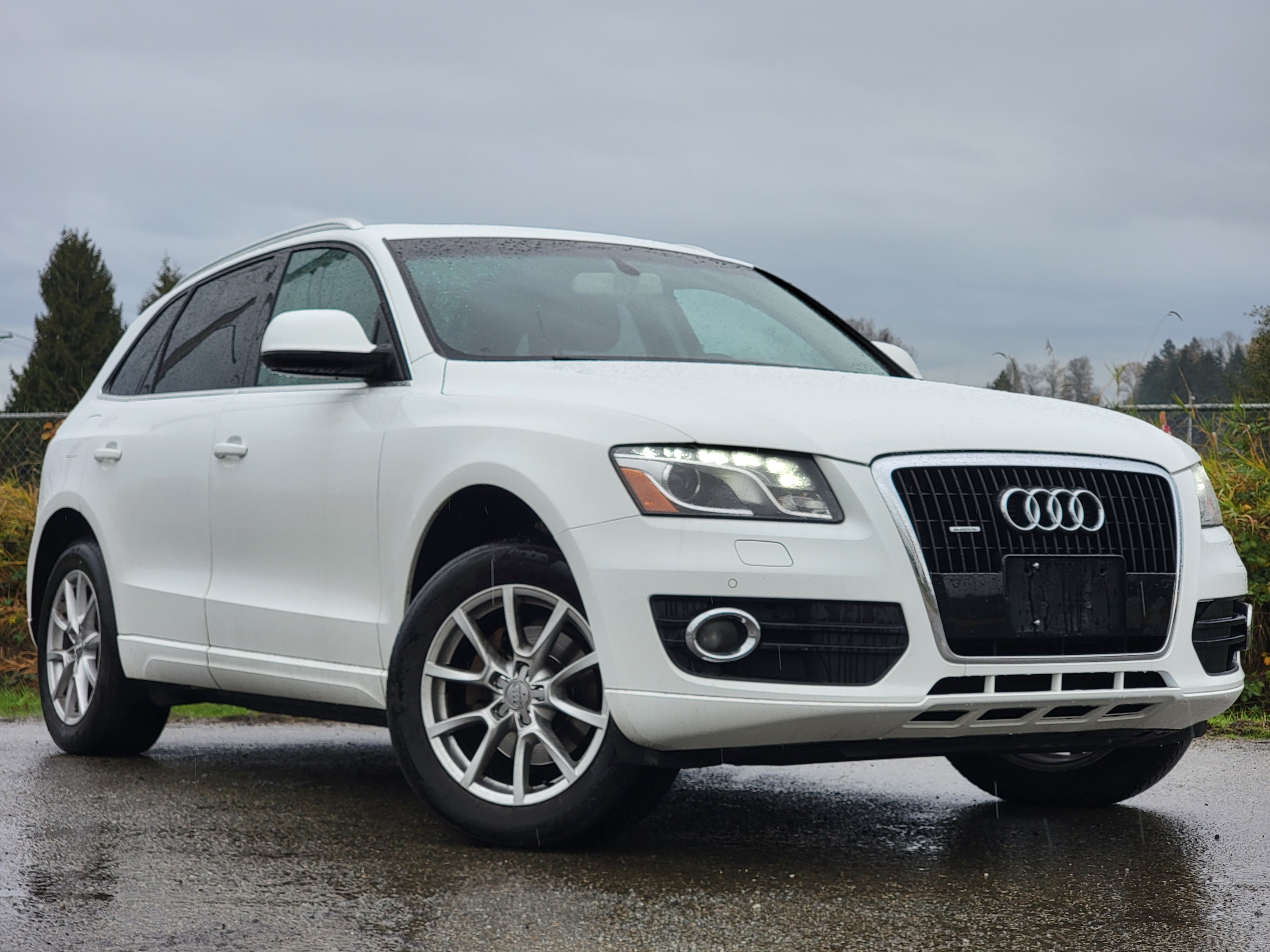 2010 Audi Q5