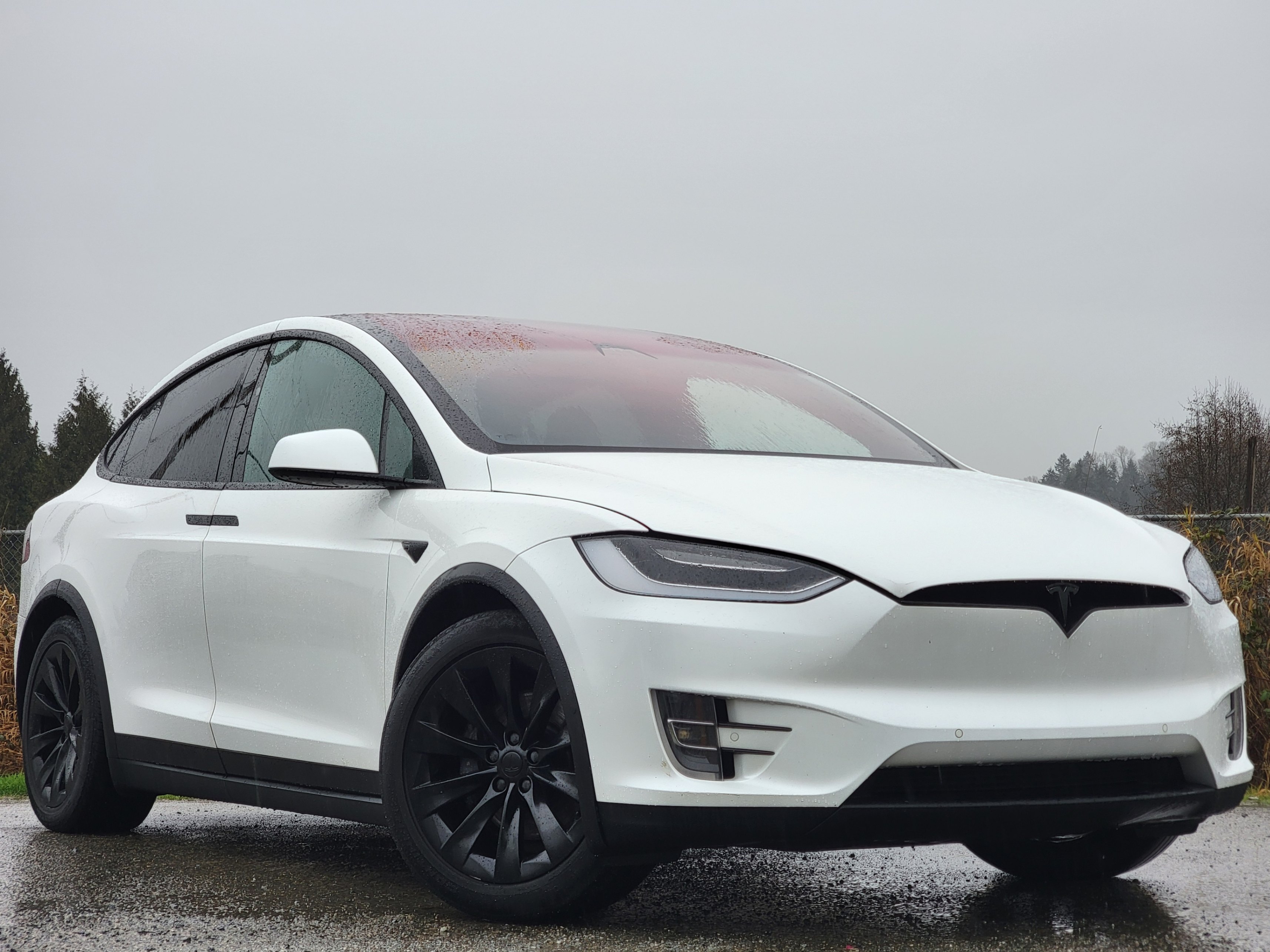 2017 Tesla Model X