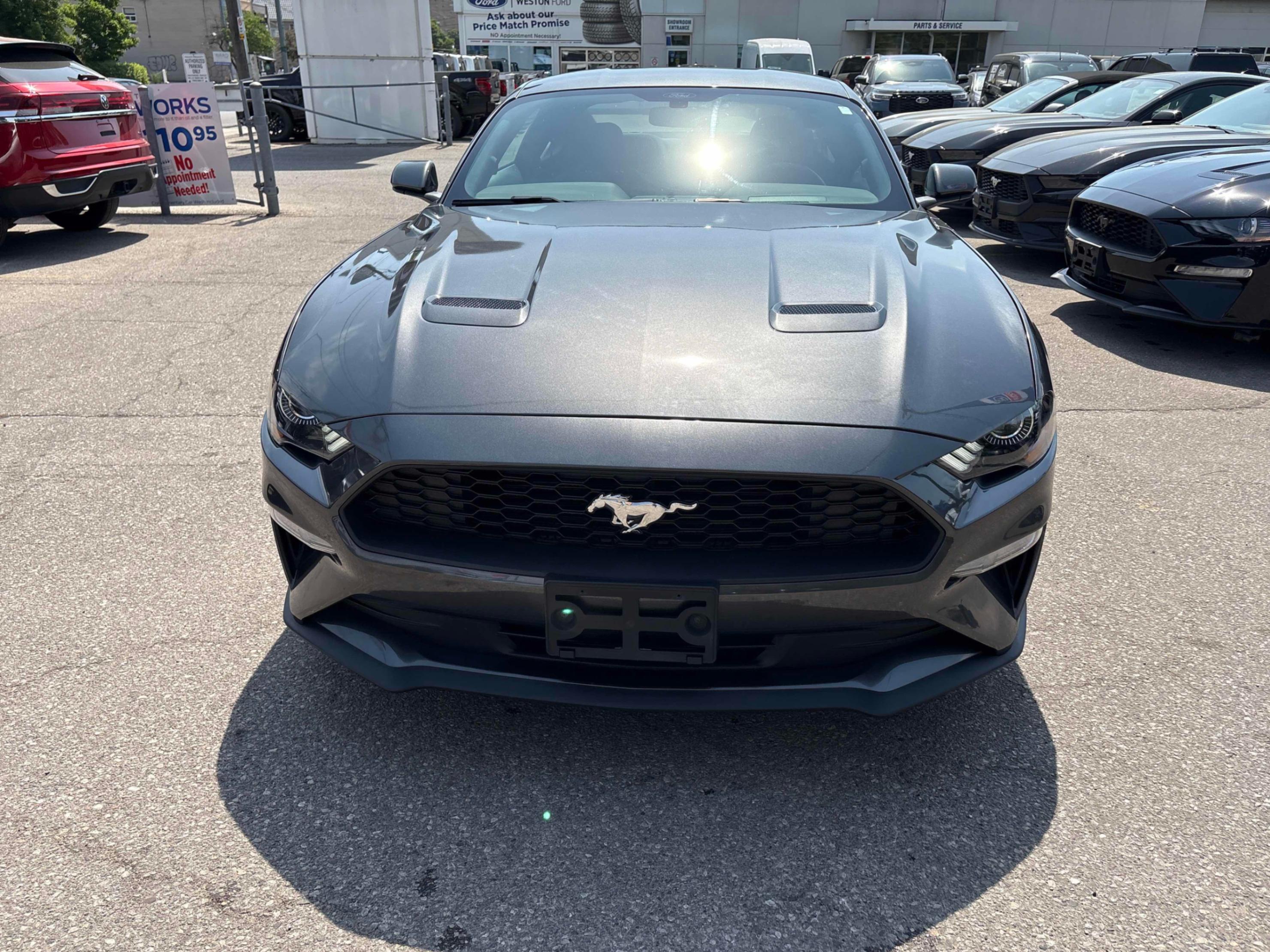 Gray 2019 Ford Mustang EcoBoost Coupe RWD Coupe Rear-Wheel Drive Automatic