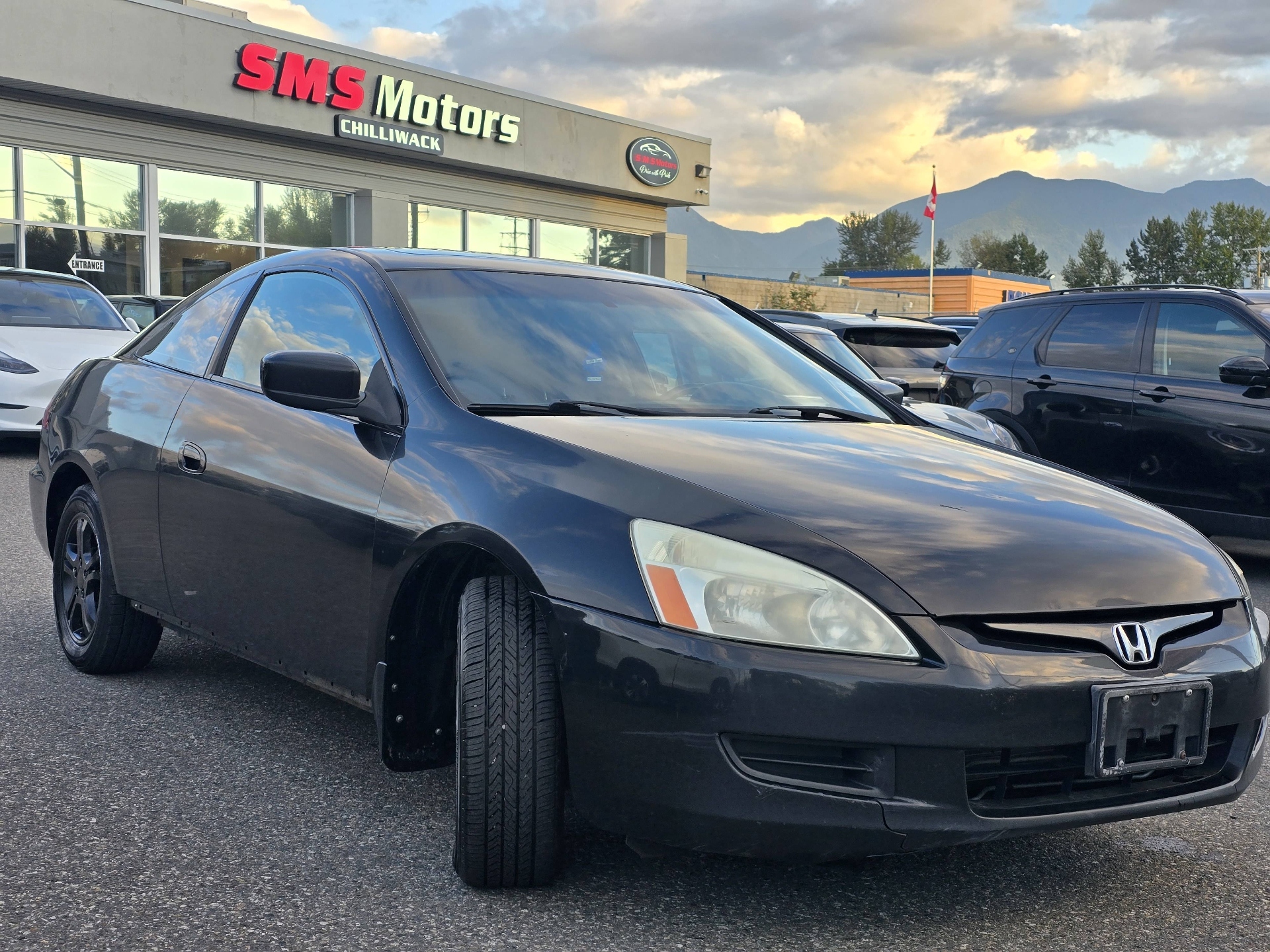 Gray 2004 Honda Accord Coupe Coupe Front-Wheel Drive Manual