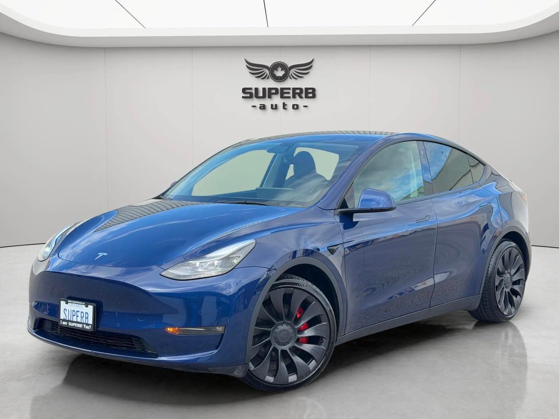 Blue 2022 Tesla Model Y SUV / Crossover All-Wheel Drive Automatic