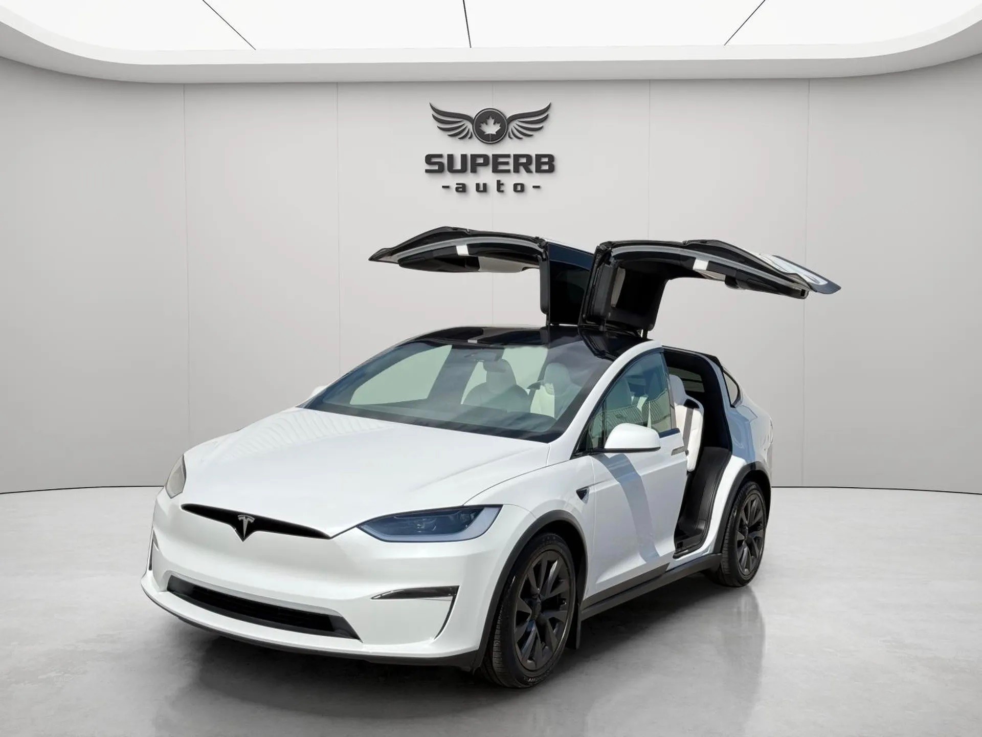 White 2024 Tesla Model X SUV / Crossover All-Wheel Drive Automatic