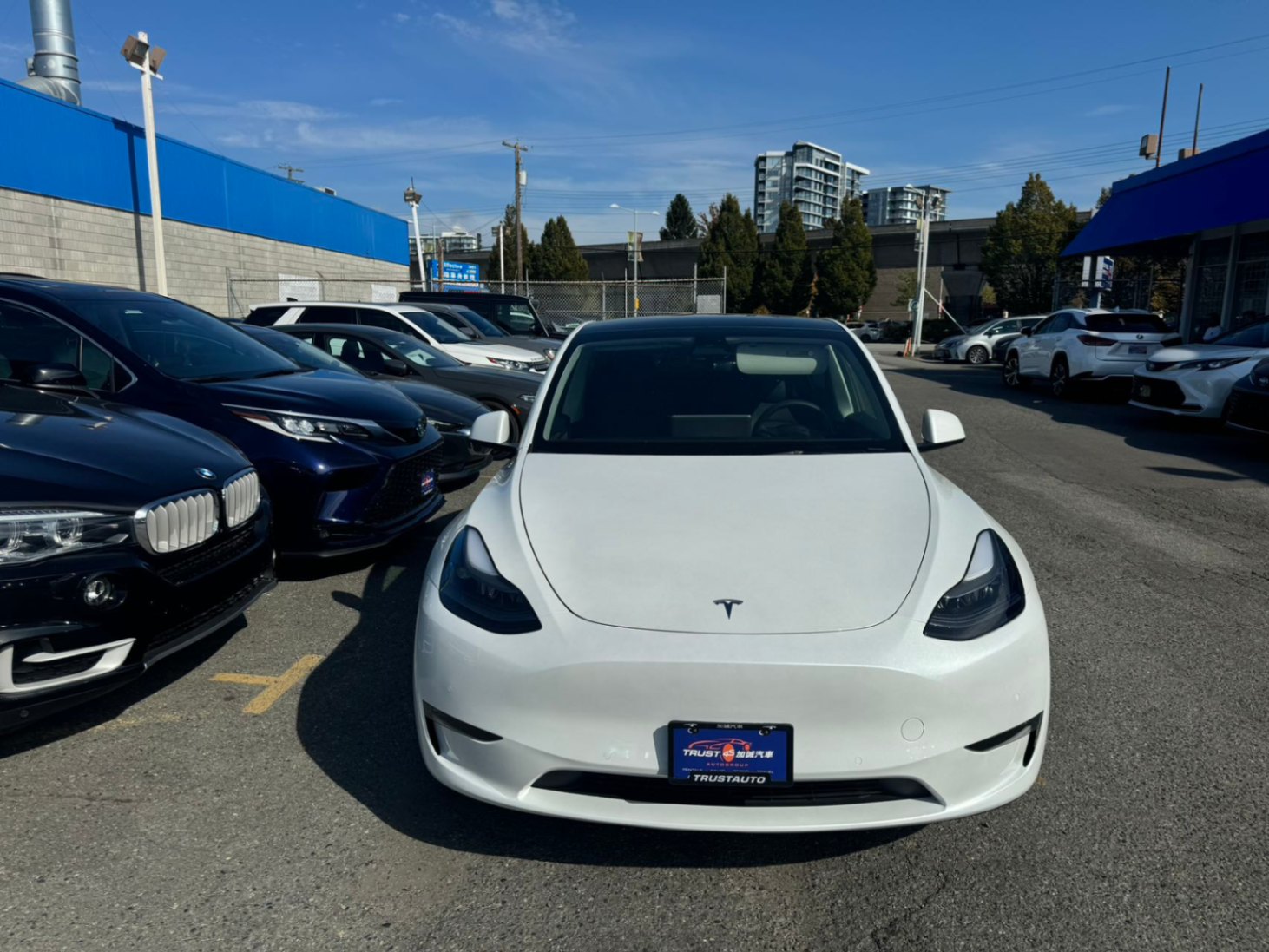 2022 Tesla Model Y Long Range AWD/Free Accident/Local Car, 温哥华, 全款车