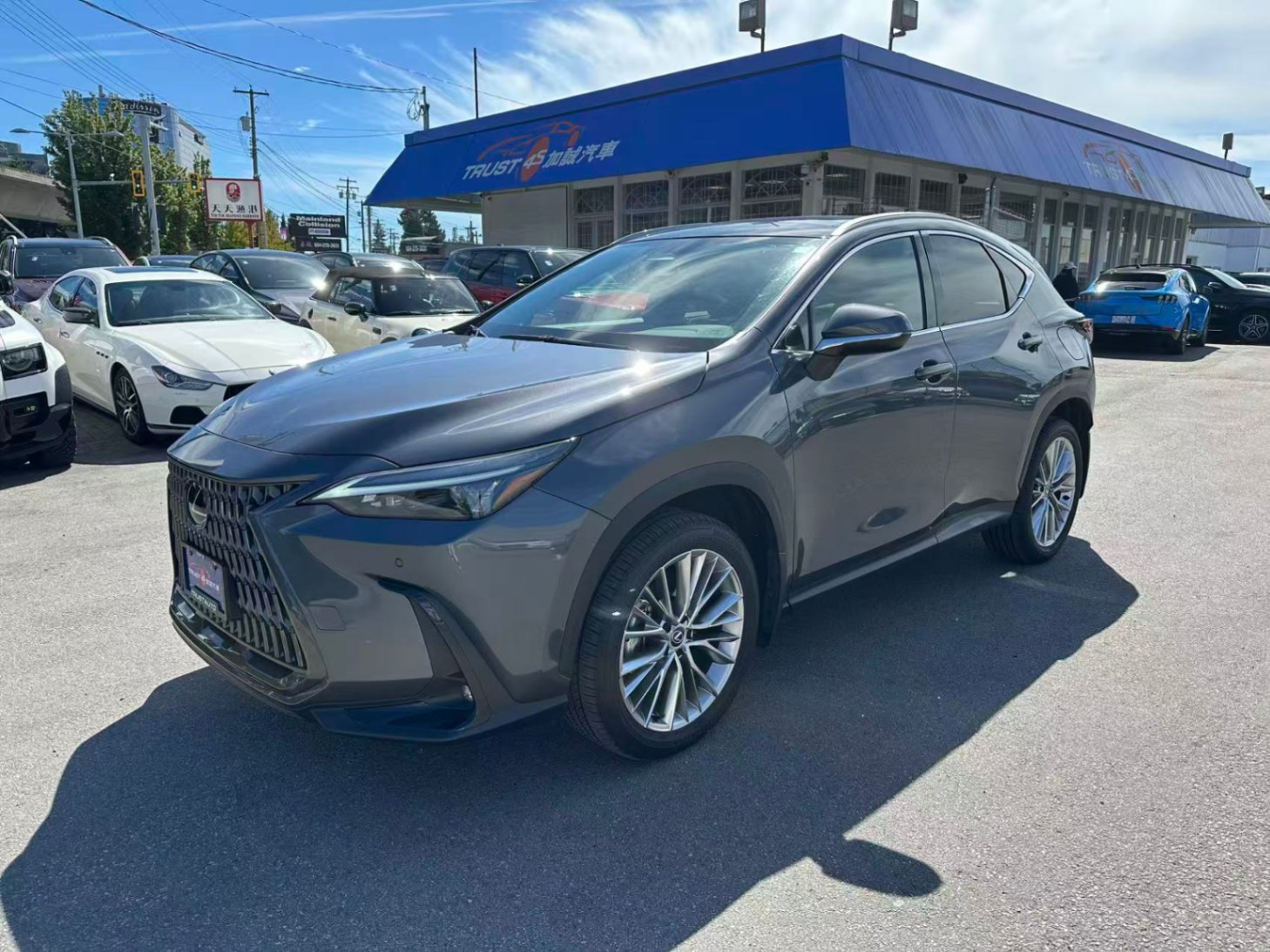 Gray 2025 Lexus NX Hybrid SUV / Crossover All-Wheel Drive Automatic