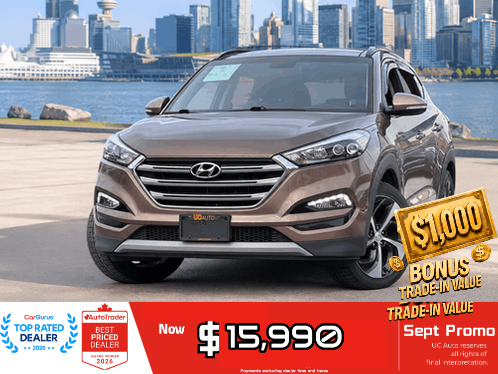 Brown 2017 Hyundai Tucson SUV / Crossover All-Wheel Drive Automatic