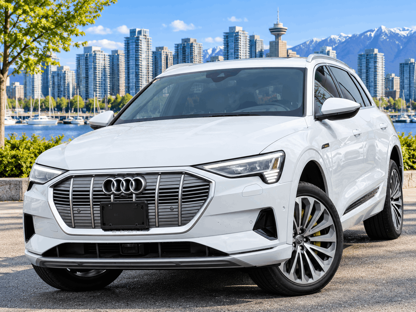 2019 Audi e-tron