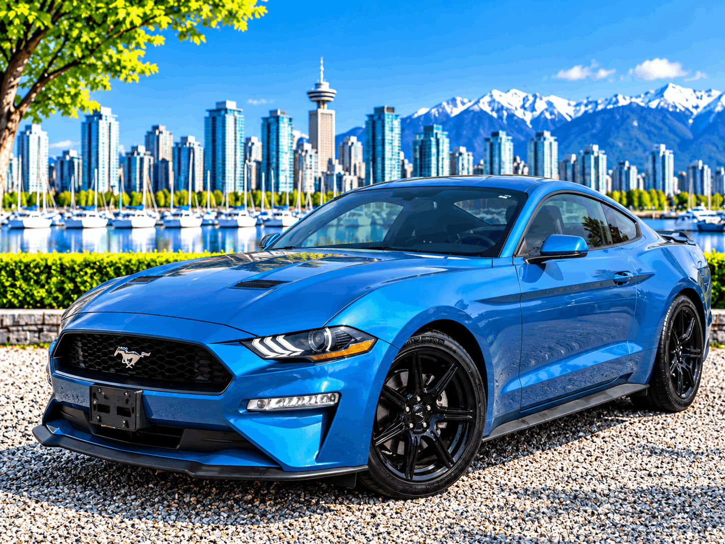 2019 Ford Mustang