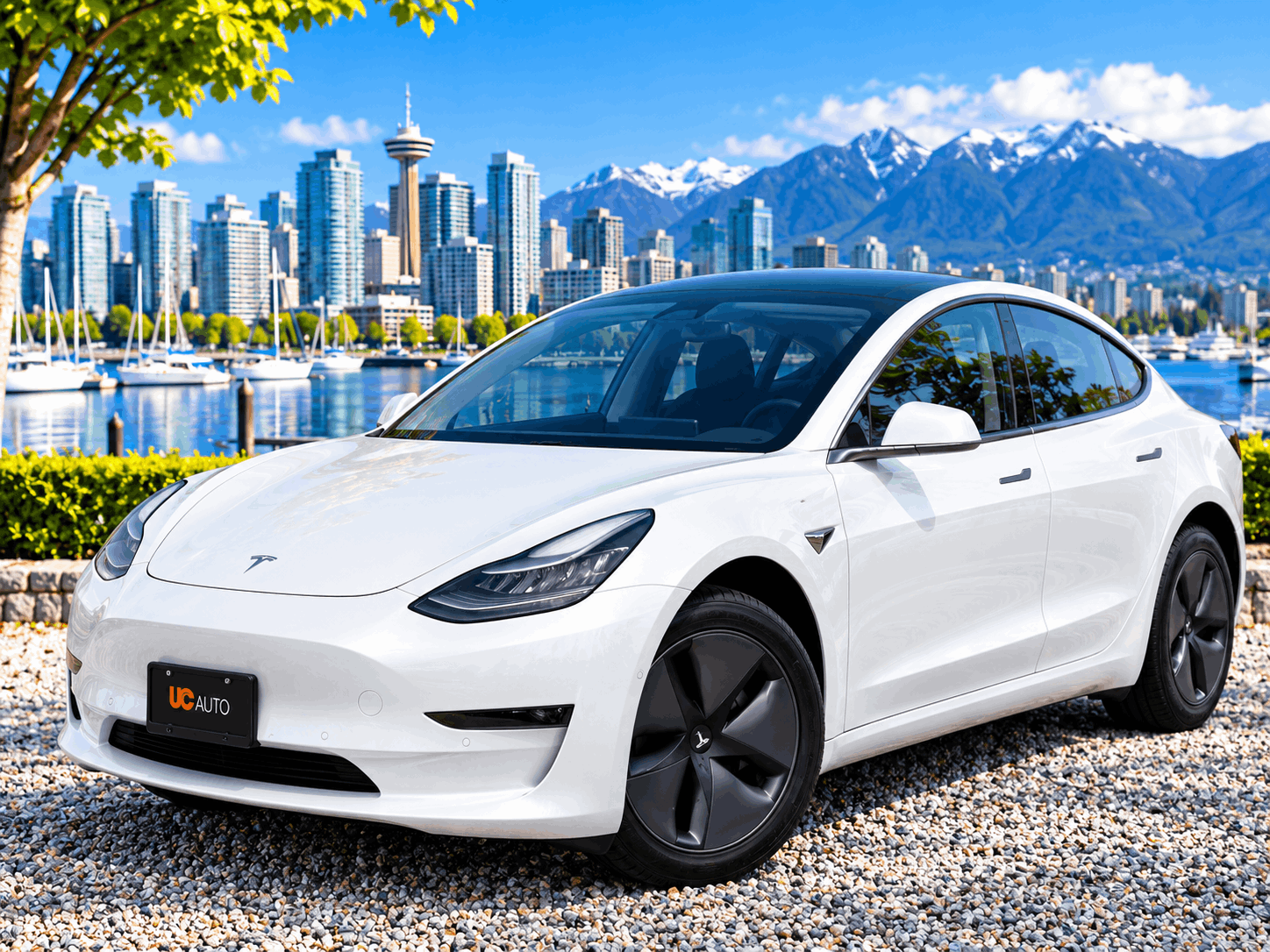 2019 Tesla Model 3