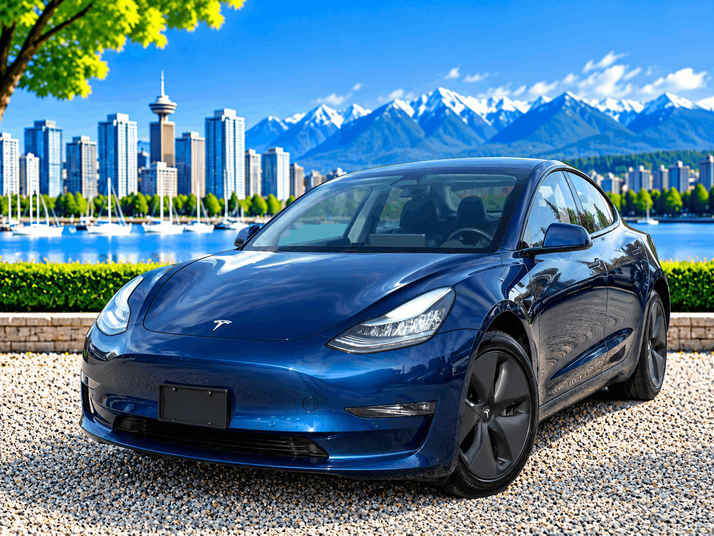 2019 Tesla Model 3