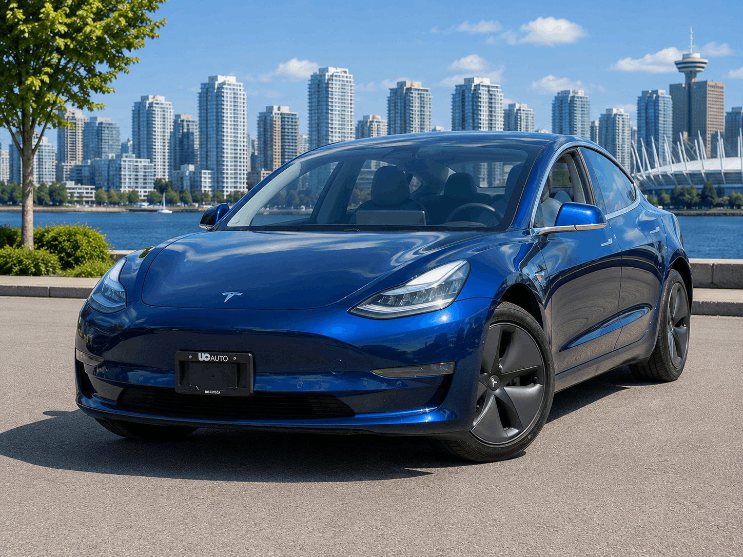 Blue 2019 Tesla Model 3 Standard RWD Sedan Rear-Wheel Drive Automatic