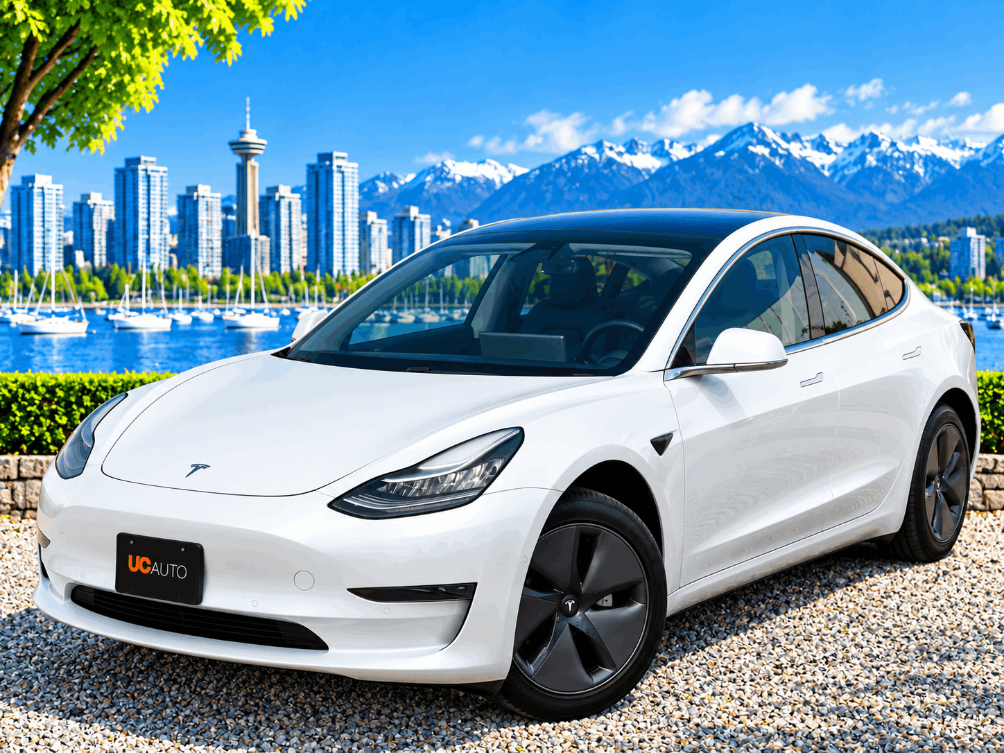 2019 Tesla Model 3
