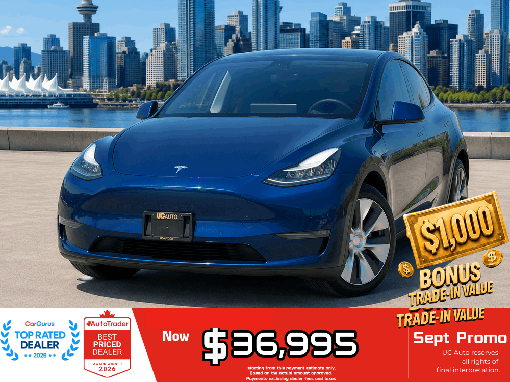 Blue 2020 Tesla Model Y SUV / Crossover All-Wheel Drive Automatic