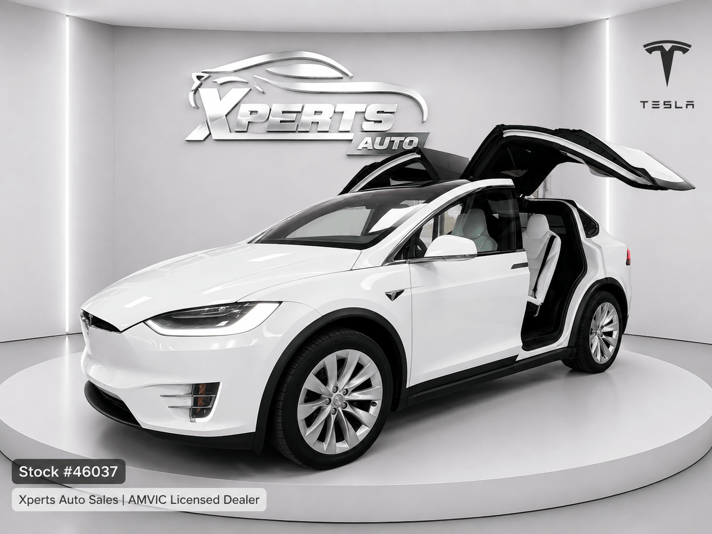 2017 Tesla Model X