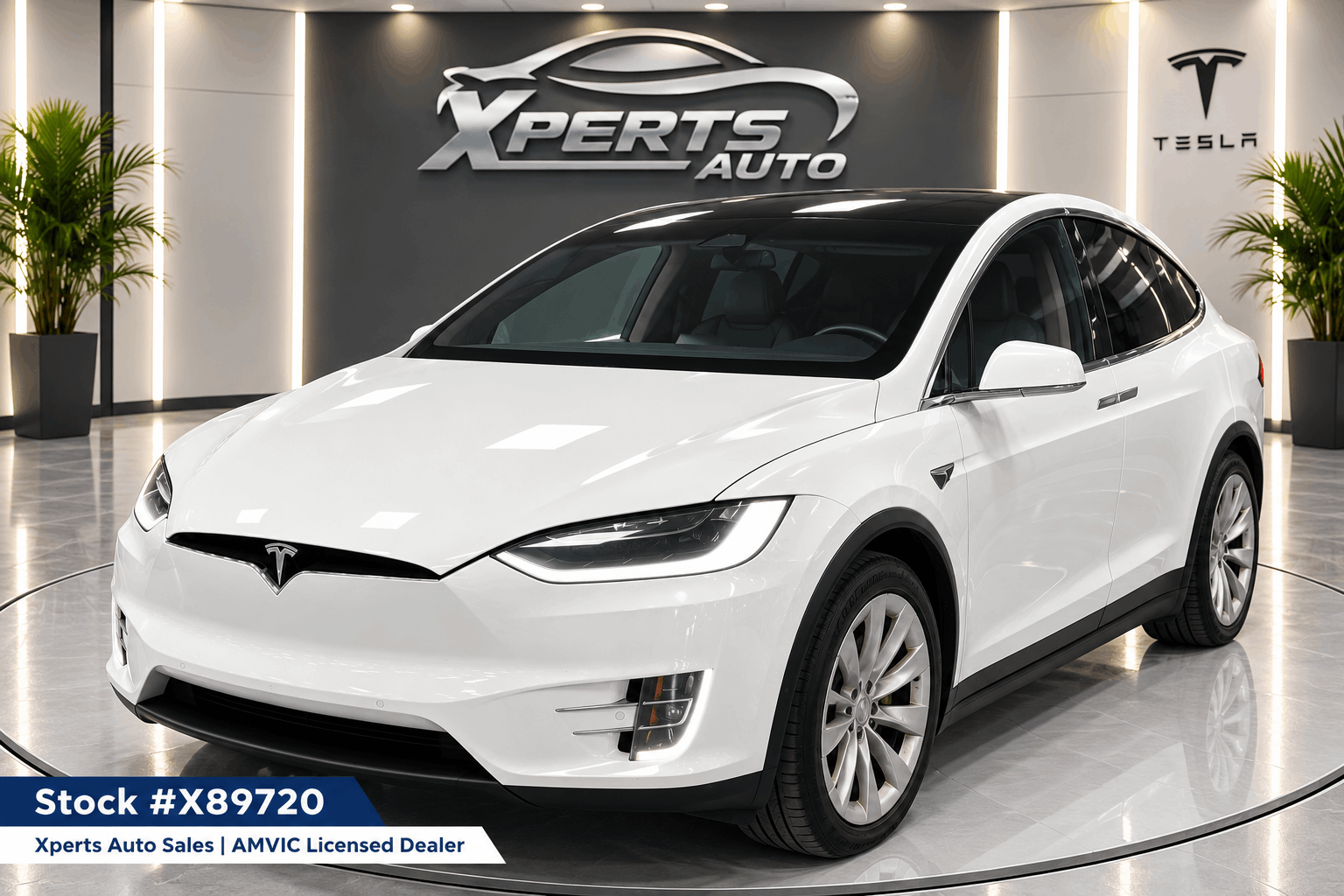 2019 Tesla Model X